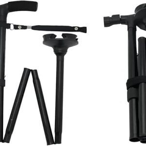 Walking Stick Alumn