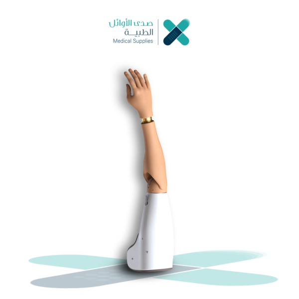 ⁦اطراف علوية⁩ - الصورة ⁦2⁩